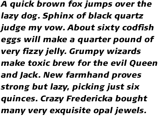 FF Signa Pro Black Italic