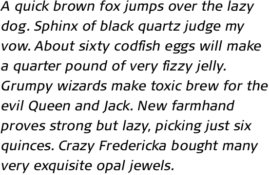 FF Signa Pro Book Italic