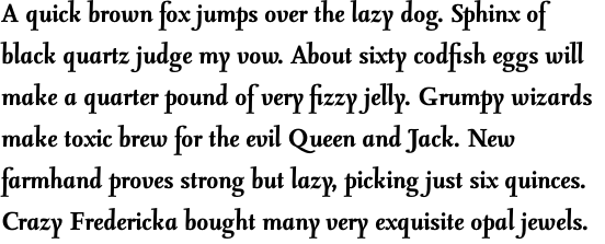 FF Seria Pro Bold Italic