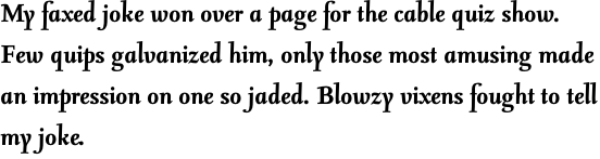 FF Seria Pro Bold Italic