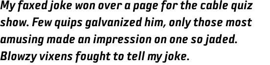 Sophisto D Gauge Italic OT