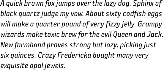 Sophisto B Gauge Italic OT