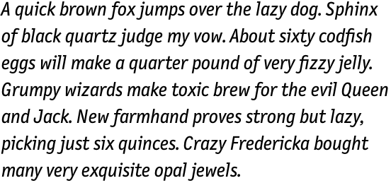 FF Letter Gothic Text OT Regular Italic