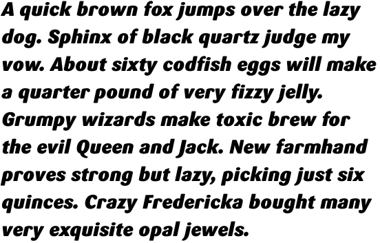 FF Sari Pro Black Italic