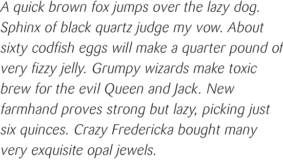 FF Sari Pro Light Italic