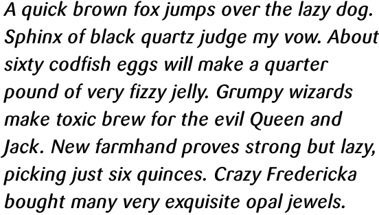 FF Sari Pro Medium Italic