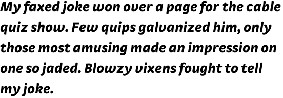 FF Strada OT Black Italic