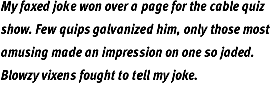 FF Meta Pro Condensed Extra Bold Italic