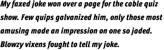 FF Meta Pro Condensed Black Italic