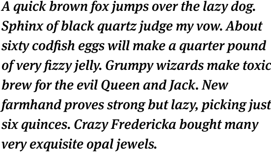 FF Meta Serif Pro Medium Italic