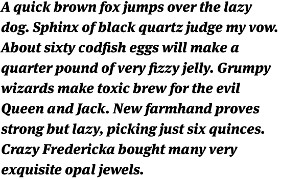 FF Meta Serif OT Black Italic