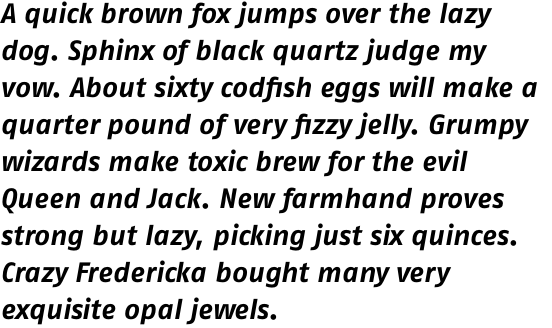 FF Fago Pro Bold Italic