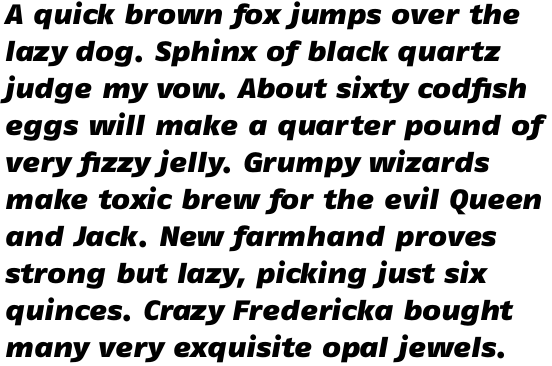 FF Fago OT Extended Black Italic