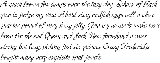 P22 Cruz Calligraphic Pro