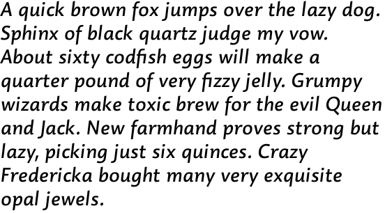 Dederon Sans Std Medium Italic