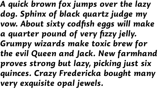 Dederon Sans Std Bold Italic