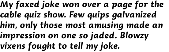 Dederon Sans Std Bold Italic