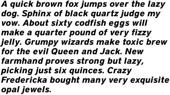 District Bold Italic OT