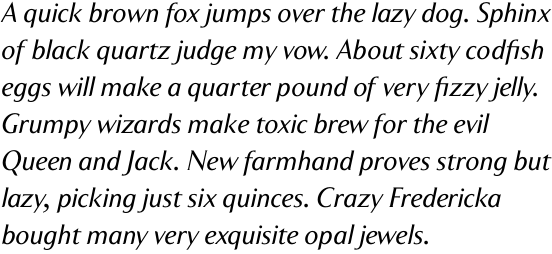 Clarice Book Italic OT