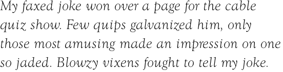 Goudy Light Italic OT Std