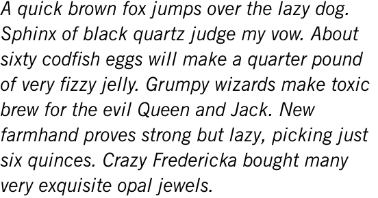 News Gothic Italic Multilingual OT