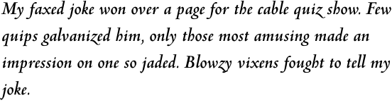 Venetian 301 Bold Italic Multilingual OT