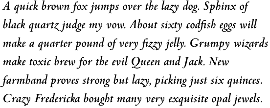Venetian 301 Bold Italic Multilingual