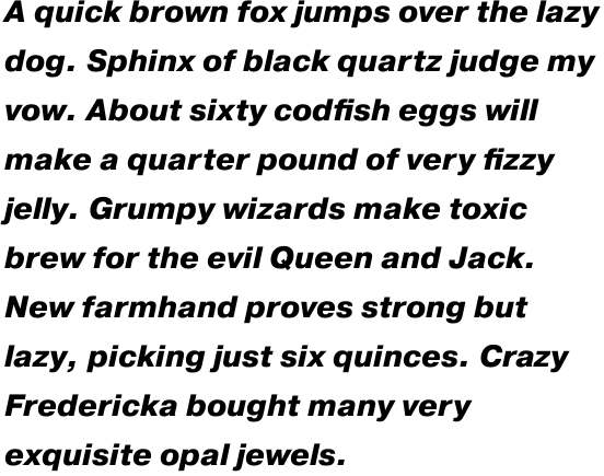 Pragmatica Extra Bold Oblique Multilingual OT