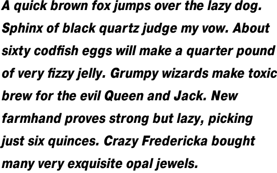 Pragmatica Condensed Extra Bold Oblique Multilingual OT
