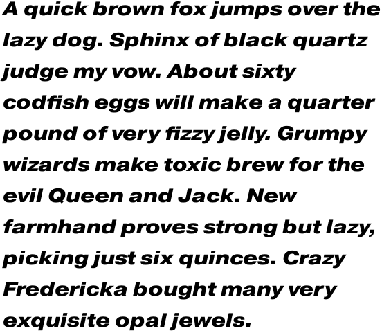 Pragmatica Extended Extra Bold Oblique Multilingual OT