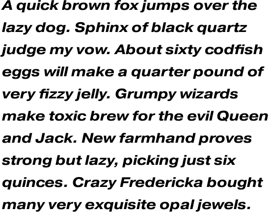 Pragmatica Extended Bold Oblique Multilingual OT