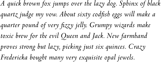 Venetian 301 Demi Italic Multilingual