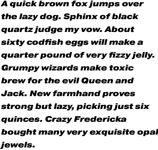 Pragmatica Extended Black Oblique Multilingual OT