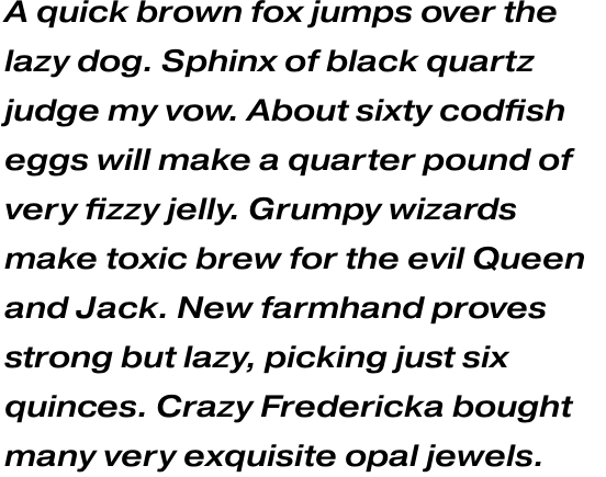 Pragmatica Extended Medium Oblique Multilingual OT