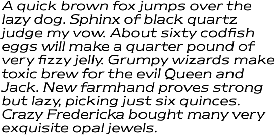 ITC Newtext Std Book Italic