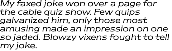 ITC Newtext Std Book Italic