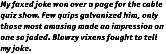 ITC Officina Sans Pro Black Italic