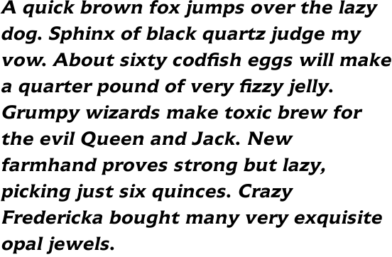 Icone Com 66 Bold Italic