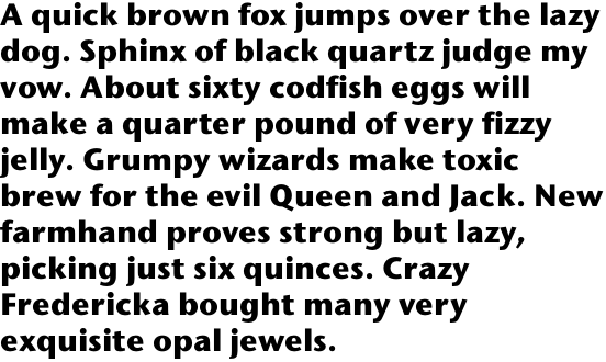 ITC Stone Sans Std Bold