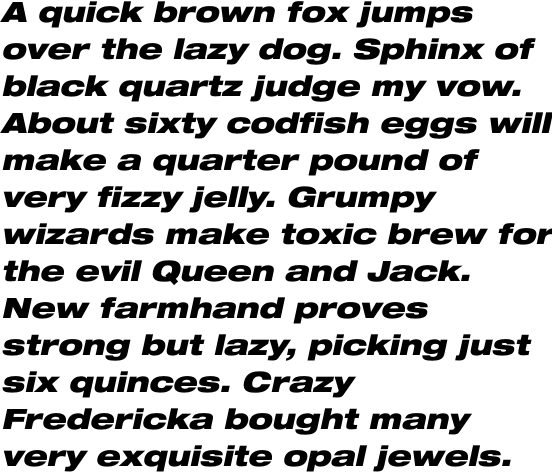 Neue Helvetica Std 93 Extended Black Oblique