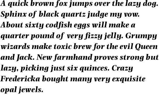 Photina Pro Bold Italic