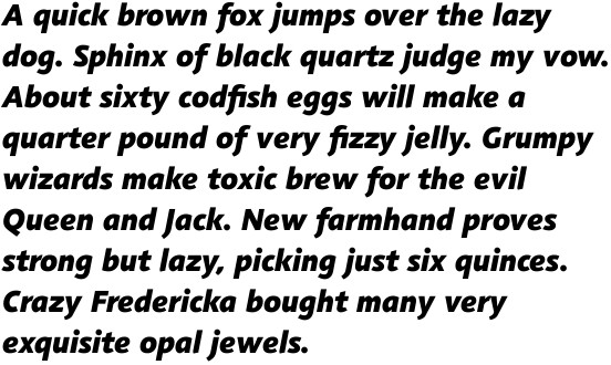 Agilita Com Black Italic