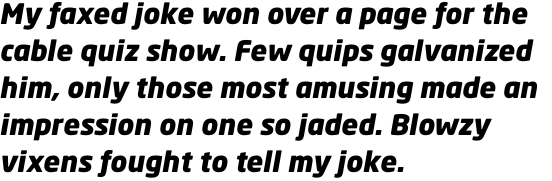 Neo Sans Pro Black Italic