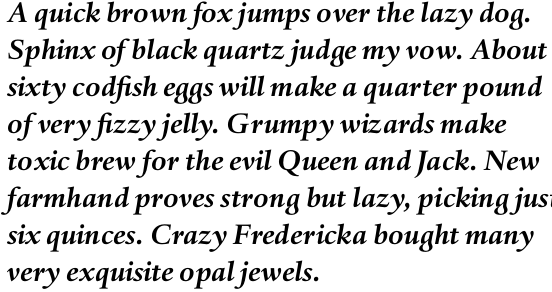 Haarlemmer Std Bold Italic