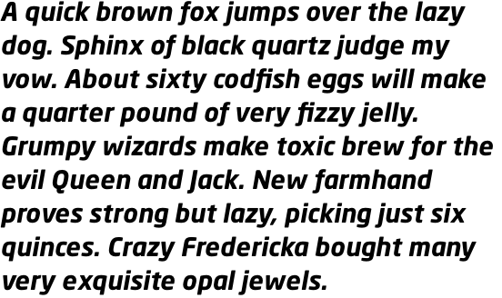 Neo Sans Pro Bold Italic