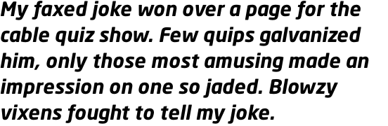 Neo Sans Pro Bold Italic