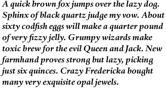 Haarlemmer Pro Bold Italic