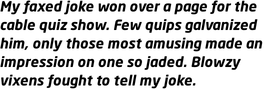 Neo Sans Std Bold Italic