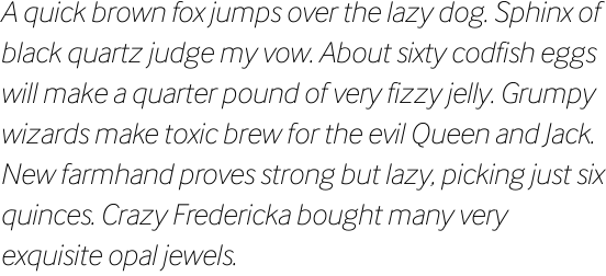 InterFace Corporate Thin Italic OT