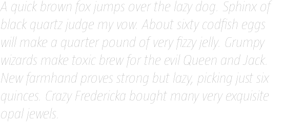 Taz III Hair 06 Italic OT